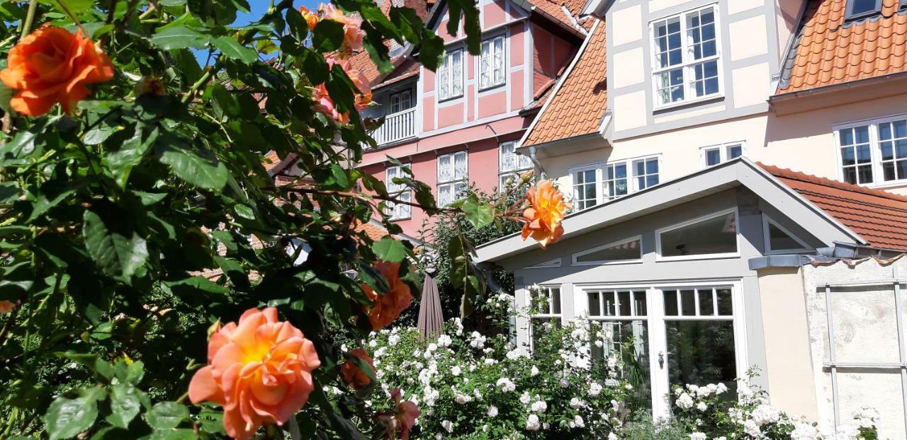 Meeresleuchten Lüneburg Esterno foto